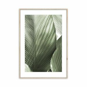 Keretezett falikép, levél, 50x70 cm, zöld - LA FEUILLE - Butopêa kép