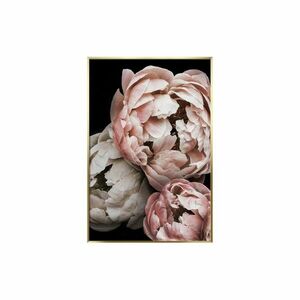 Falikép 50x70 cm, pünkösdi rózsákkal, púderrózsaszín - PIVOINES - Butopêa kép