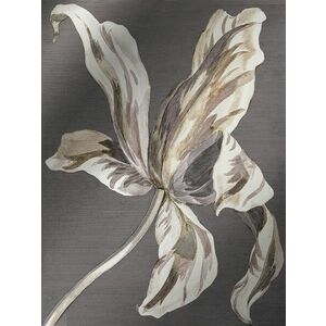 Vászon kép levélekkel, 60x80 cm, szürkésbarna - FLORETTE - Butopêa kép