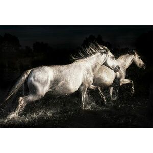 Üveg Falikép 80x120 cm, fekete-fehér lók - LES CHEVAUX - Butopêa kép