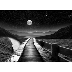 Üveg Falikép 80x120 cm, fekete-fehér tájkép - LUNAIRE - Butopêa kép