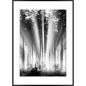 Falikép 50x70 cm, fekete-fehér tájkép - RAYONS - Butopêa kép