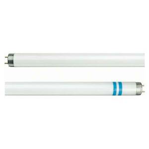 Philips G13 T8 fluoreszkáló cső 840 3200lm 36W kép
