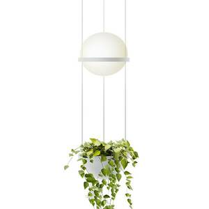 Vibia Palma 3724 függő lámpa, növénytálca, fehér kép