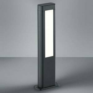 Magasság 50 cm - LED talapzati lámpa Rhine kép