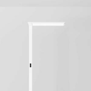 Regent Lighting Lightpad LED 1 hangolh. feh. bal kép