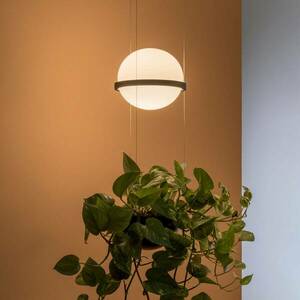 Vibia Palma 3724 függő lámpa, növénytálca, grafit kép