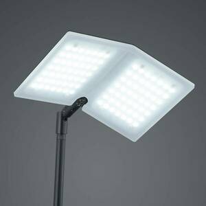 BANKAMP Wasko LED állólámpa, fekete kép