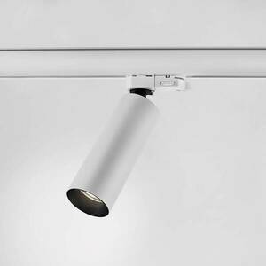 Egger Reed S spotlámpa sínre dim-to-warm fehér 30° kép