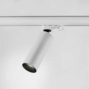 Egger Reed S spotlámpa sínre dim-to-warm fehér 50° kép