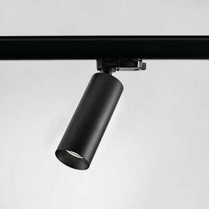 EggerReed S spotlámpa sínre dim-to-warm fekete 15° kép