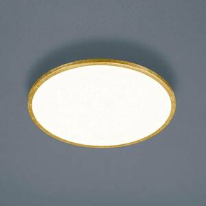 Helestra Rack LED szab. lámpa kerek arany kép