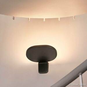 FLOS Oplight W1 LED fali lámpa, fekete kép