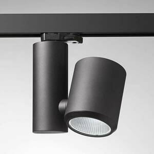 Fekete LED spotlámpa sínre Kent Meat 38° kép