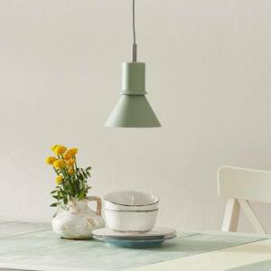 Anglepoise Type 80 függő lámpa, pisztáciazöld kép