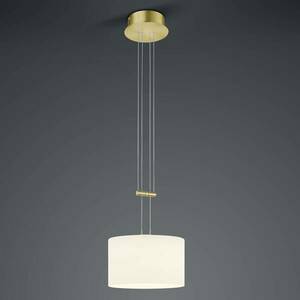 BANKAMP Grazia függő lámpa ZigBee e. i. 32 cm sréz kép