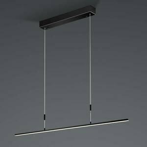 BANKAMP Slim függő ZigBee szab. 98 cm fekete kép