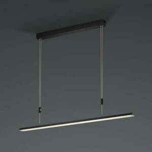 BANKAMP L-lightLINE CCT VerticalDim ZigBee fekete kép