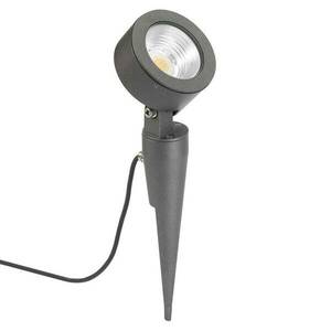 Cassian LED földi tüskés lámpa kép