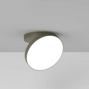 Rotaliana Venere W1 LED falilámpa 2 700 K bronz kép