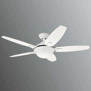 Hunter Contempo - mennyezeti ventilátor izzóval kép