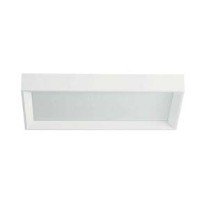 LED mennyezeti lámpa Tara szabály., 54 x 29 cm kép