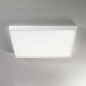 LED mennyezeti lámpa Tara maxi, 74 cm x 74 cm kép