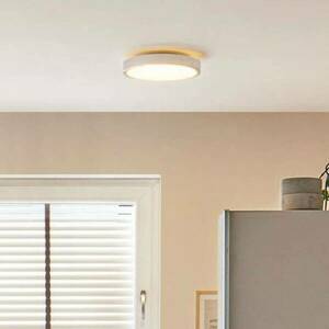 Paulmann Aviar LED lámpa 2700K Ø30cm króm kép