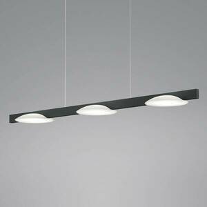 Helestra Pole LED függő lámpa három izzós fekete kép