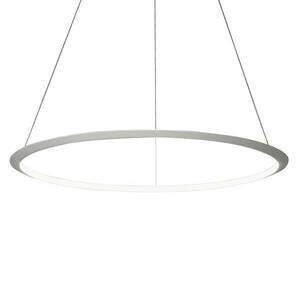 LEDS-C4 Circular lED függő lámpa Ø 300 cm 940 DALI kép