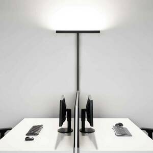 Molto Luce Concept Double F érzékelős fekete kép
