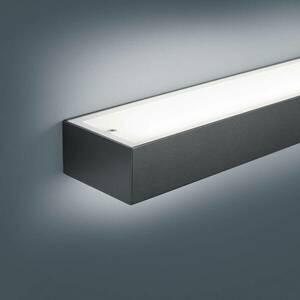 Helestra Theia LED fali lámpa, matt fekete 60 cm kép