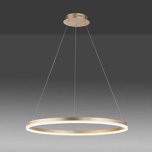 LED lógó világítás Titus, kerek, Ø 80 cm, sárgaréz kép