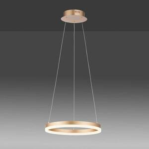 LED lógó világítás Titus, kerek, Ø 40 cm, sárgaréz kép