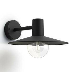 Philips myGarden Skua kültéri fali lámpa kép