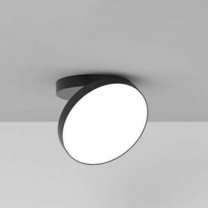 Rotaliana Venere W1 LED falilámpa 3 000 K fekete kép