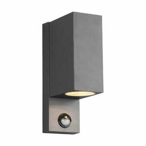 Fali kültéri lámpa (magasság 22 cm) Roya – Trio kép