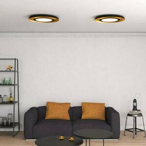 Shiitake LED mennyezeti lámpa, fekete / arany kép