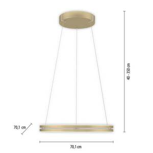 PURE E-Loop LED lógó világítás, CCT, arany kép