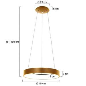 LED lógó világítás Ringlede, Ø 48 cm, arany kép