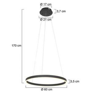 LED lógó világítás Ringlux, Ø 60 cm 2 izzós fekete kép