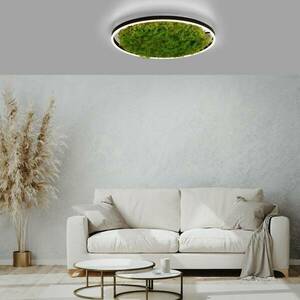 LED mennyezeti lámpa Zöld Ritus, moha, fényerőszabályzó Ø58.5cm kép