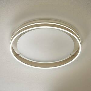 Paul Neuhaus Q-VITO LED mennyezeti lámpa 59cm acél kép