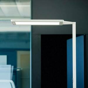 LED állólámpa Yara.single VTL, BT, LTX, ezüst kép