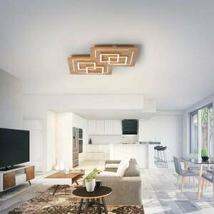Paul Neuhaus Q-LINEA LED menny. fa dekor 60cm kép