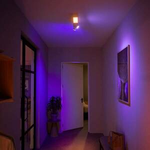 Philips Hue Lowie LED spotlámpa, két-izzós, fehér kép