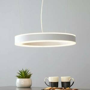 Arcchio Pietro LED függőlámpa ezüst 50cm 60W kép