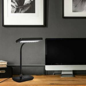 LED íróasztal lámpa 7488-015 fekete 6500K kép