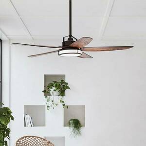 Beacon mennyezeti ventilátor w. Fény Louisville bronz/koa csendes kép
