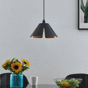 Lucande Jemmily függő lámpa, egy izzós, 30 cm kép